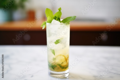 mojito with mint sprig in highball glass