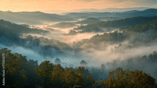 Misty Morning Over Forested Valley