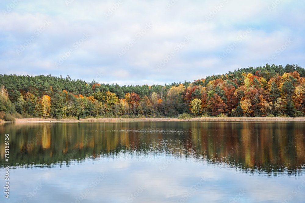 Autumn colored forest reflected in the surface of the lake water.  Jesień kolorowy las odbijający się w tafli wody jeziora.