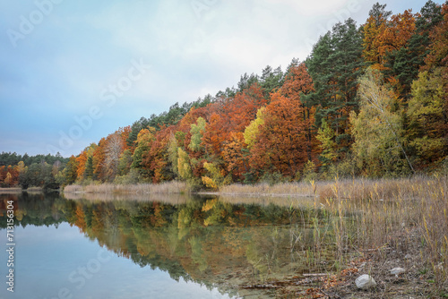 Autumn colored forest reflected in the surface of the lake water. Jesień kolorowy las odbijający się w tafli wody jeziora. 