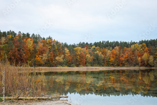 Autumn colored forest reflected in the surface of the lake water. Jesień kolorowy las odbijający się w tafli wody jeziora. 