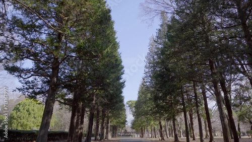 公園を歩く