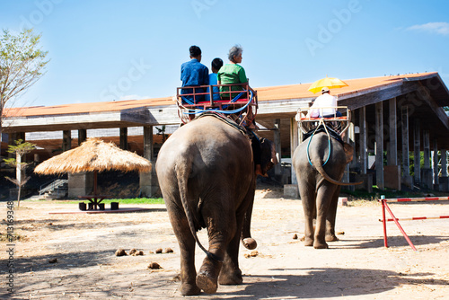 Traveler thai people travel riding elephants trip tour around Ban Ta Klang or Taklang Elephant Village Study Centre and visit elephant ground show at Tha Tum city on January 5, 2024 in Surin, Thailand photo