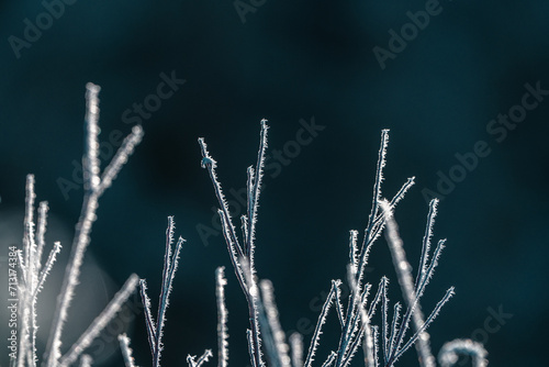 Winterfrost © Substanz