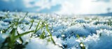 Macro photo of large hailstones in a meadow. Copy space image. Place for adding text