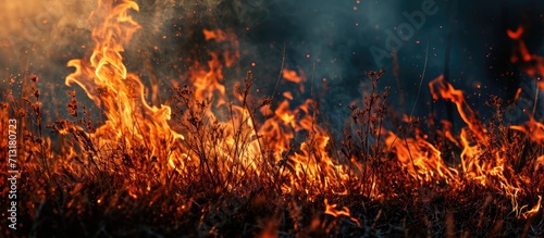 wildfire burns grass trees big fire. Copy space image. Place for adding text