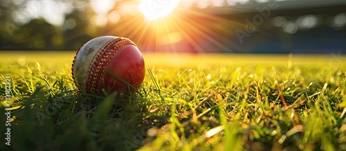 Shiny new cricket ball on grass in front of grand stand. Copy space image. Place for adding text