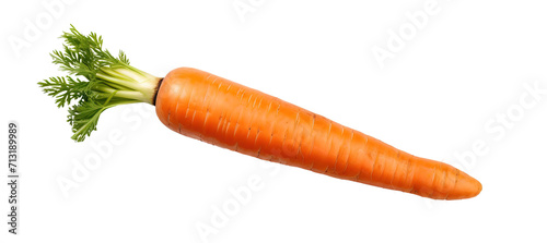 Fresh juicy carrots on a transparent background