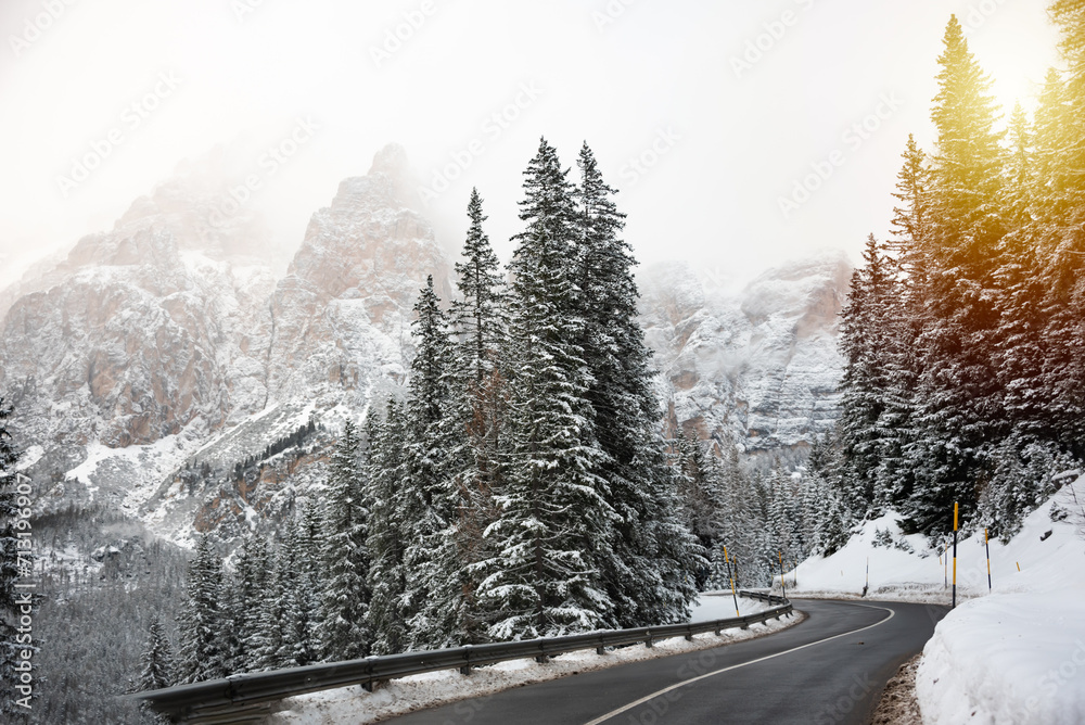 Fototapeta premium Winter road among forest in Dolomite mountains, Italy