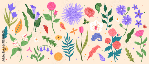 Simple flowers. Floral elements. Tropic leaves. Tulip bud. Chrysanthemum and peony. Vintage pattern daisy. Iris or calla stem. Fern twigs. Blooming blossoms. Vector minimal garden botanical plants set