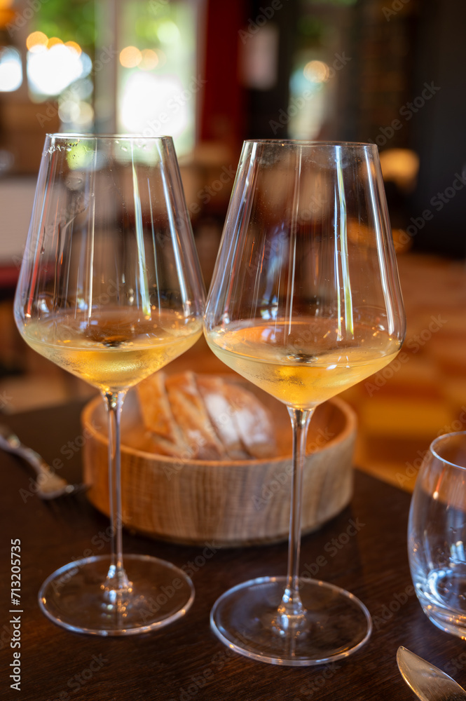 Obraz premium Tasting of Bordeaux white wine in Sauternes, left bank of Gironde Estuary, France. Glasses of white sweet French wine.