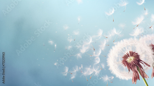 Dandelion spores blowing away