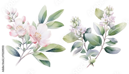 Fototapeta Naklejka Na Ścianę i Meble -  Watercolor illustration set with spring flowers, branches. Isolated on transparent background. Perfect for card, postcard, tags, invitation, printing, wrapping.  