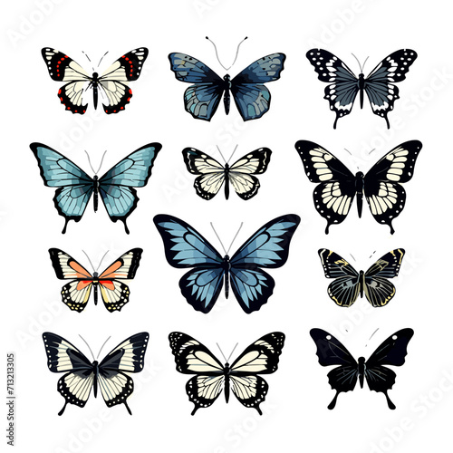 butterfly silhouette, butterfly svg, butterfly png, butterfly illustration, butterfly clipart, butterfly, insect, wing, nature, animal, fly, beauty, wings, swallowtail, yellow, vector, macro, summer, 