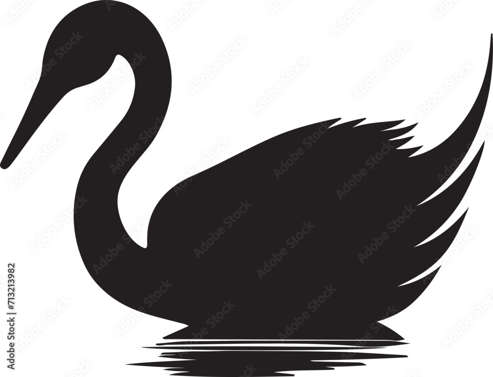 black swan on white background silhouette of vector illustrator black swan on white background silhouette of vector illustrator