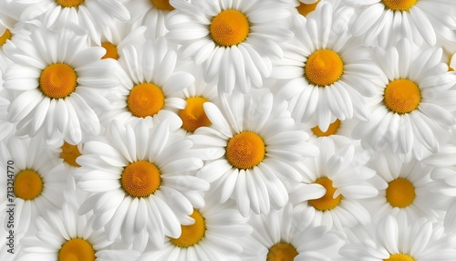 The symbolism of the Daisy flowers