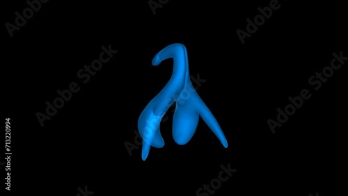 4k Anatomical Clitoris technology video, Anatomical Clitoris technology video, Anatomical Clitoris 360 turn, Anatomical Clitoris wireframe video