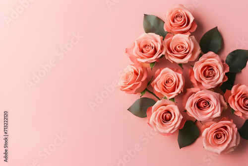 Beautiful delicate roses of red and pink colors on a plain background.