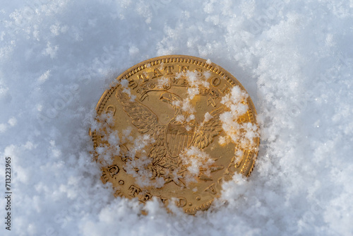 golden bitcoin lying in the snow