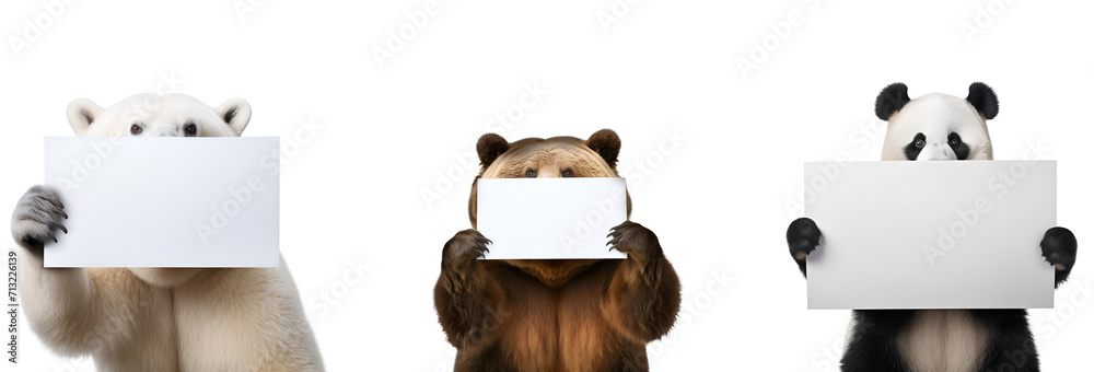 Panda, polar bear, and grizzly bear in a set, each holding a blank paper mockup, Isolated on Transparent Background, PNG - obrazy, fototapety, plakaty 
