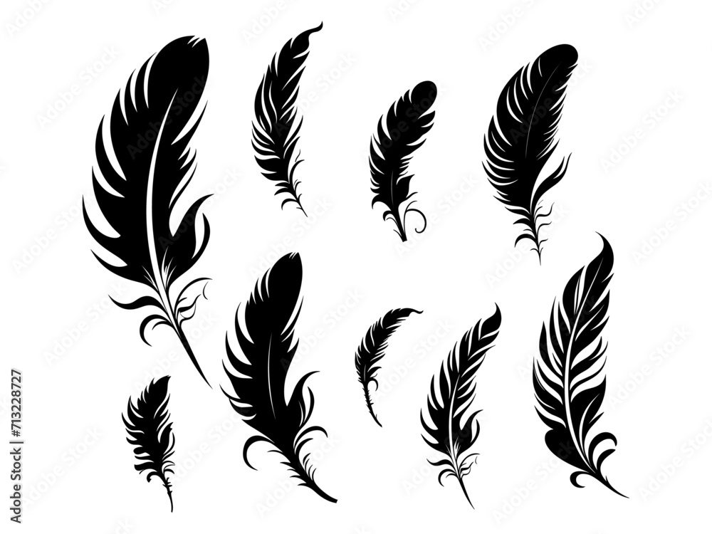 Set of detailed majestic feather collection. Bird Feather black silhouettes. Plumelet collection. Vector isolated on white Set of detailed majestic feather collection. Bird Feather black silhouettes. Plumelet collection. Vector isolated on white