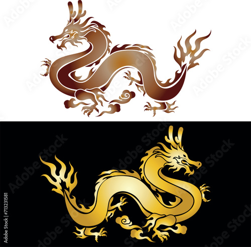 The dragons are intricately designed with detailed scales, claws, and facial features, and are surrounded by flames, suggesting movement and power.