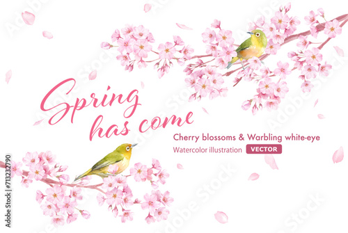 春の花：桜と小鳥（メジロ）の散る花びらのフレームデザイン。水彩イラスト。（ベクター。レイアウト変更可能）
