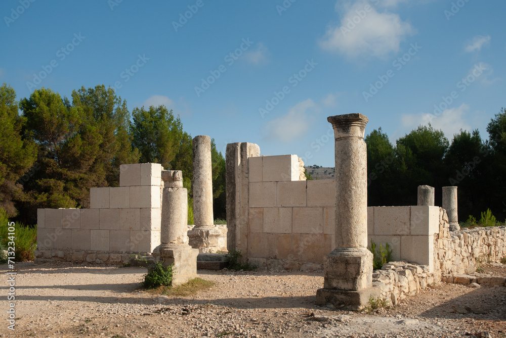 Archeological remains of an ancient synagogue in the Biriya Forest in northern Israel. Archeological remains of an ancient synagogue in the Biriya Forest in northern Israel.