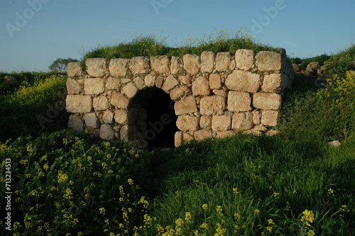 Old, abandoned stone house on a grassy hilltop in central Israel. photo