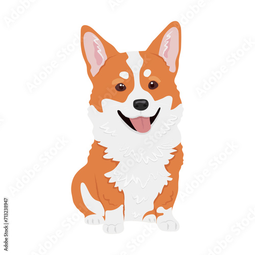 Corgi dog vector illustration. Cute friendly welsh corgi puppy, isolated on white background. Great for icon, symbol, card, children's book © Alina