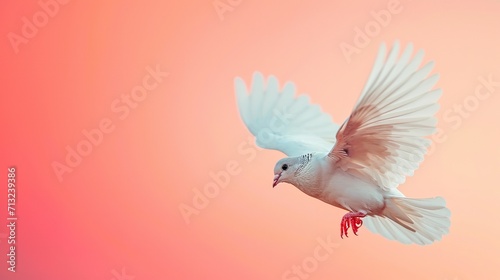 Portrait of a white pigeon flying against a clean backdrop with free space, Generative AI.