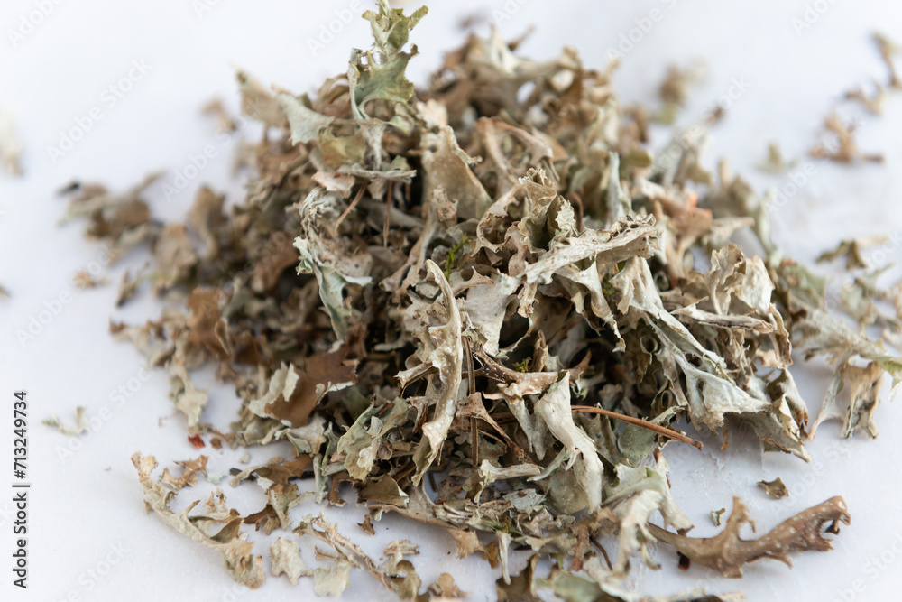 Herbs Iceland moss Cetraria islandica. dry Icelandic moss. Herbs Iceland moss Cetraria islandica. dry Icelandic moss.