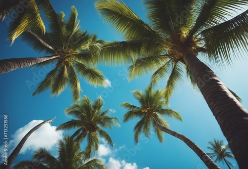 Coconut palm trees against blue sky and beautiful beach