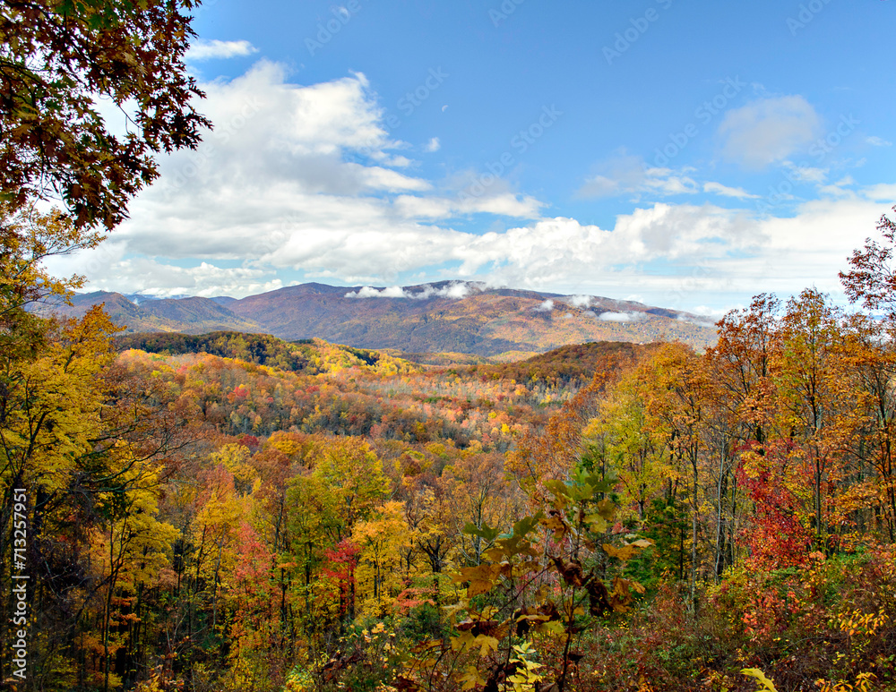 autumn colors in the mountains
