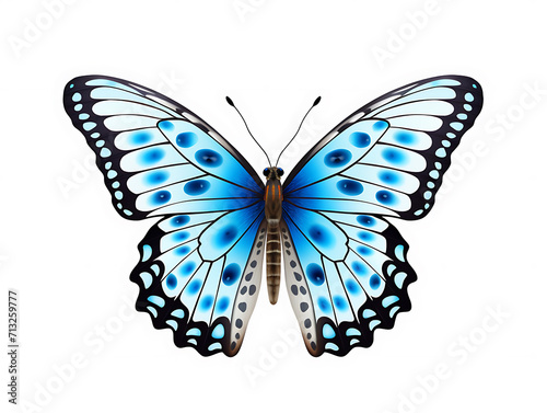 Close-up of a beautiful butterfly from above. The butterfly is a color combination of light blue, black and white. They are isolated within a white-colored background. Created with Generative AI. © an