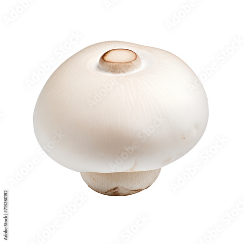 Mushroom view from the side isolated on a transparent background.