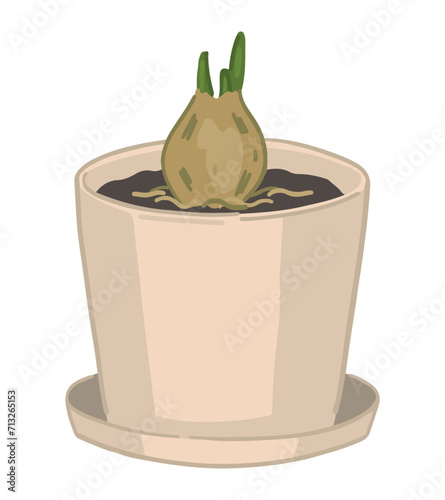 Potted bulb plant doodle. Gardening attribute vector illustration in cartoon style isolated on white.