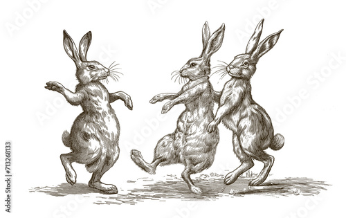 Three dancing easter bunnies. Celebration dance. Easter image. Vintage engraving photo