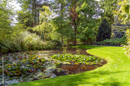A ditch full of water lilies meanders between trees and a lawn in this beautiful arboretum in Rotterdam, the Netherlands