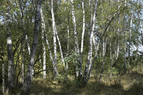 erlebnislandschaft erdekaut