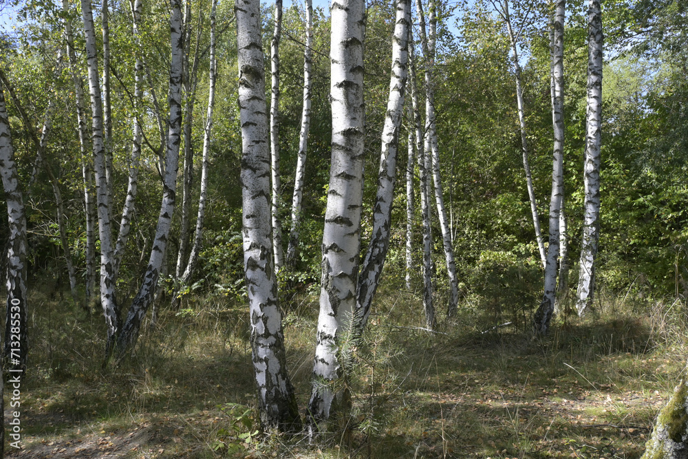 erlebnislandschaft erdekaut erlebnislandschaft erdekaut
