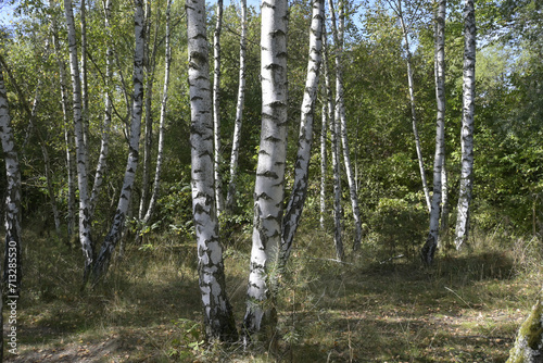 erlebnislandschaft erdekaut