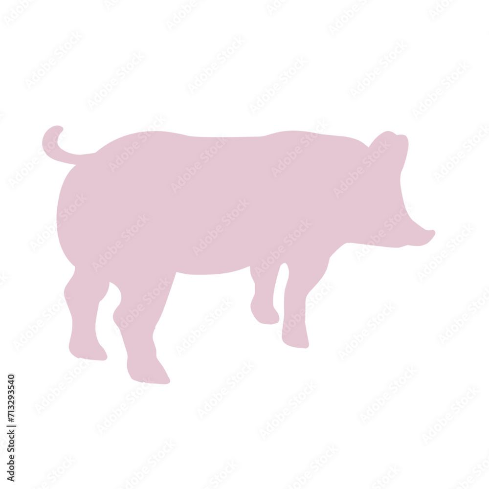 cute pig in different cute pig in different