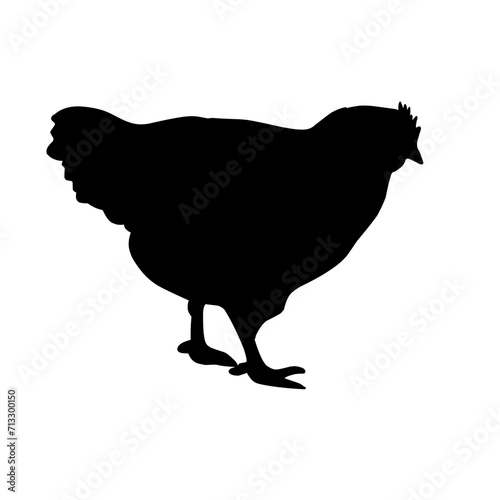 Variety chicken