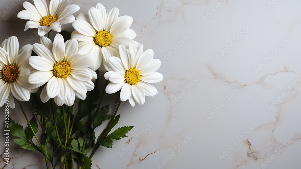 Obraz premium Bouquet of white daisies on a white background