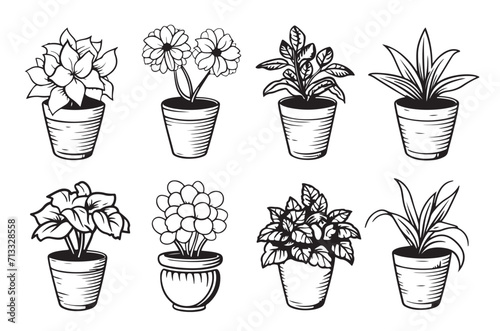 Vector set of house plants and flowers in pots  outline drawings on a white background