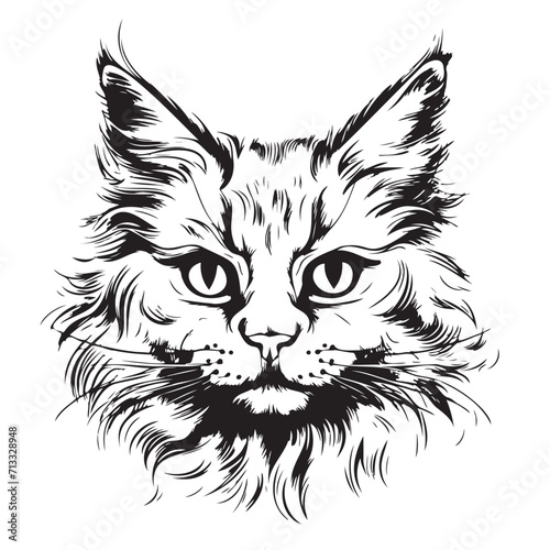 Fluffy cat face sketch hand drawn sketch Vector illustration Pets © BigJoy