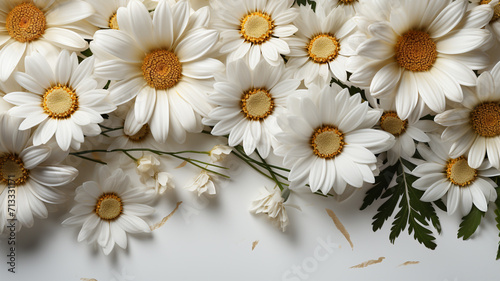 Bouquet of white daisies on a white background