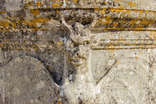 Gargouille de Diable au château d'Amboise photo