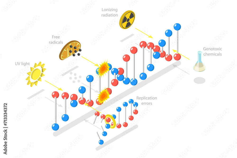 3D Isometric Flat Conceptual Illustration of DNA Damage, Aging Process 3D Isometric Flat Conceptual Illustration of DNA Damage, Aging Process